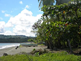 beach, boat, sky, and trees