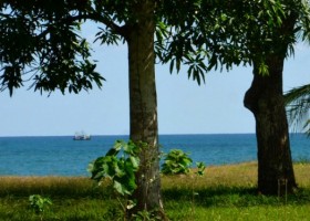 Beachfront-Property-Puerto-Armuelles-COro-L5-6a