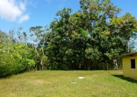 beach-property-puerto-amuelles-COro-L6-600